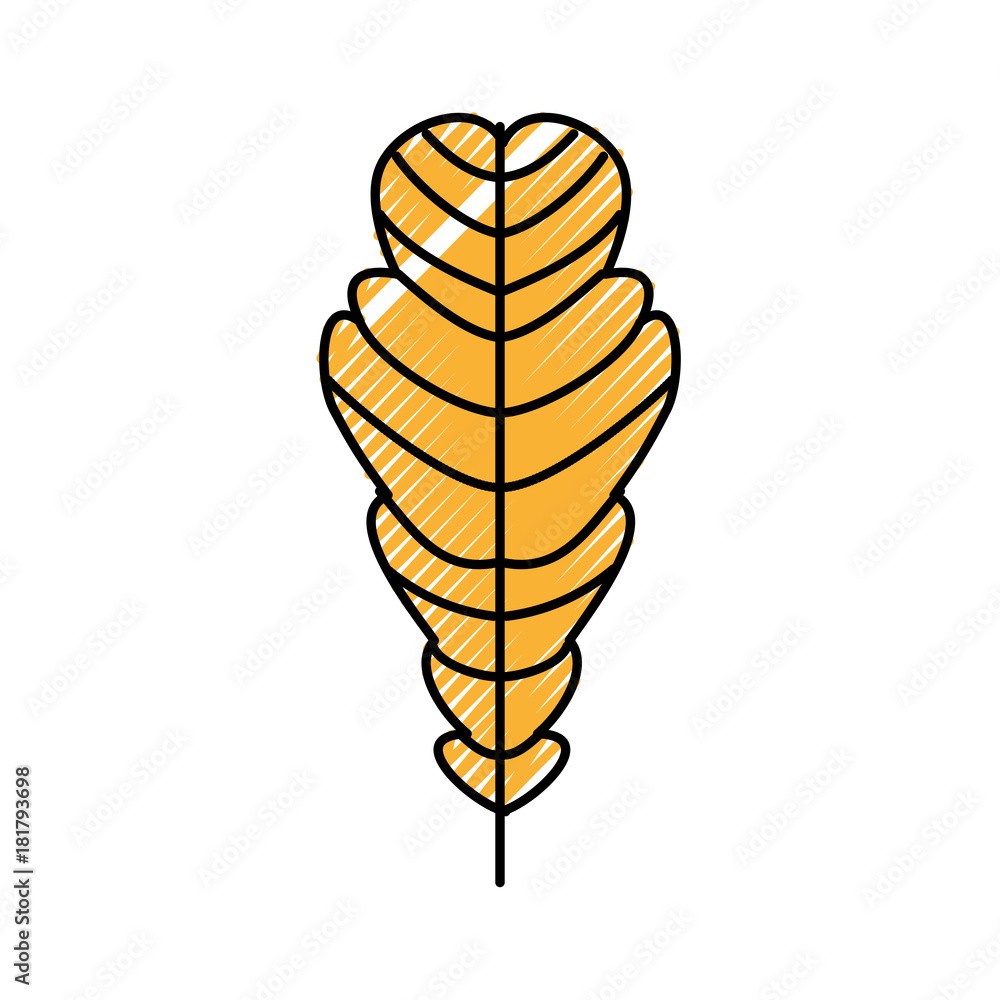 autumn leaf season natural foliage flora vector illustration autumn leaf season natural foliage flora vector illustration