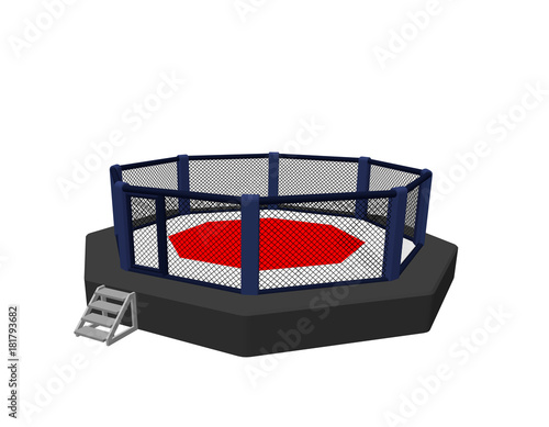 Octagon fight cage. Isolate...