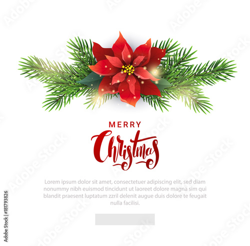 Christmas template for email list with Poinsettia