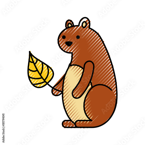 autumn season squirrel leaf natural forest vector illustration