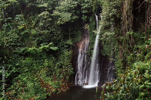Fototapeta Naklejka Na Ścianę i Meble -  Beautiful waterfall in green forest. Nature landscape background