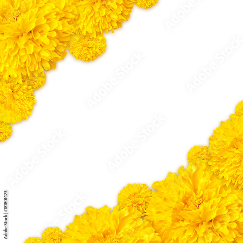 Fototapeta Naklejka Na Ścianę i Meble -  Frame of Marigold flowers background