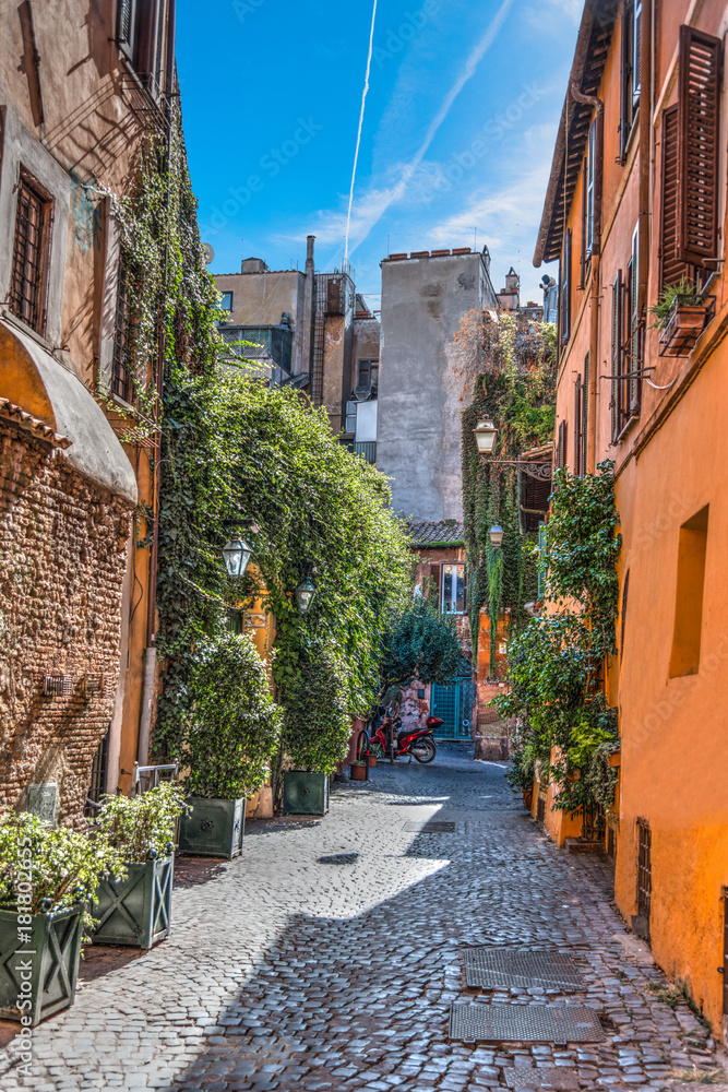 Obraz premium Wąska uliczka w Trastevere