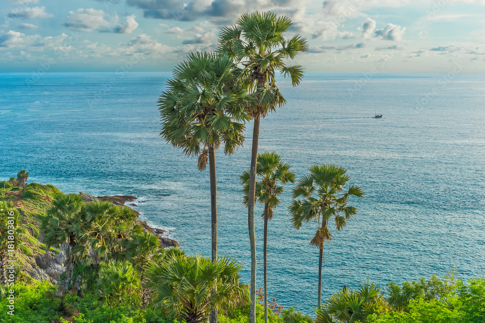 Palm trees on the shores of the Andaman Sea, Thailand