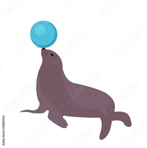 Sea lion with a ball, circus icon flat style, isolated on white background. Vector illustration