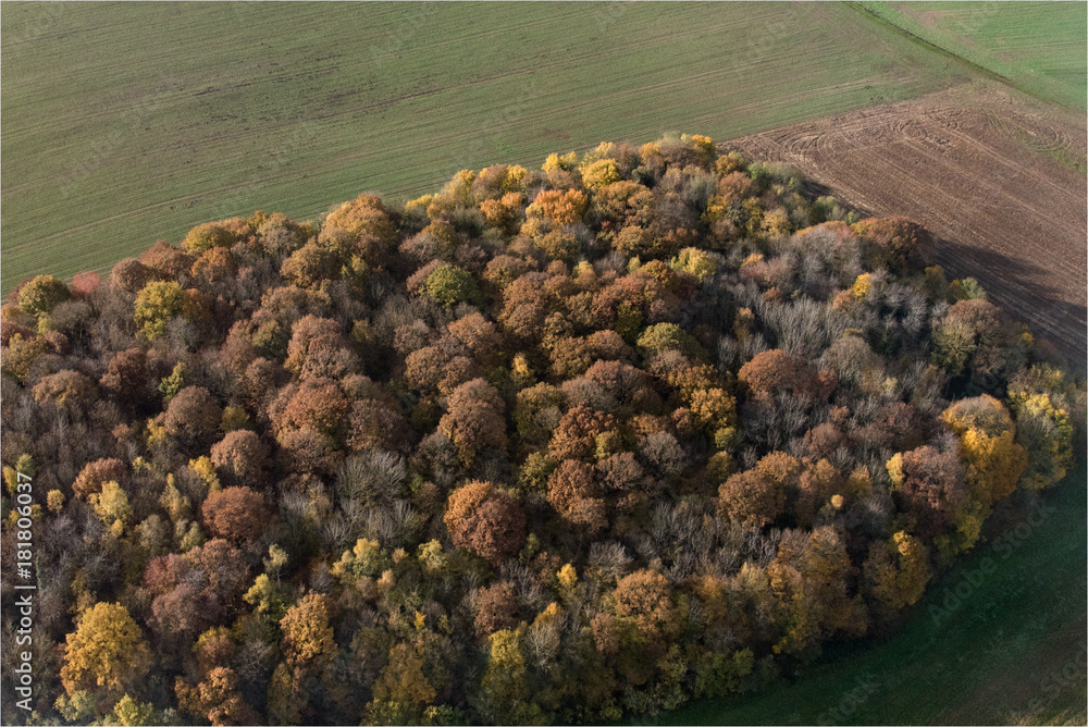 Vue aérienne de forêt à l'automne à Brueil-en-Vexin dans les Yvelines en France Vue aérienne de forêt à l'automne à Brueil-en-Vexin dans les Yvelines en France