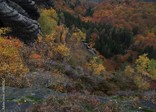 Elbsandsteingebirge, Herbstfärbung an der Schrammsteinaussicht photo