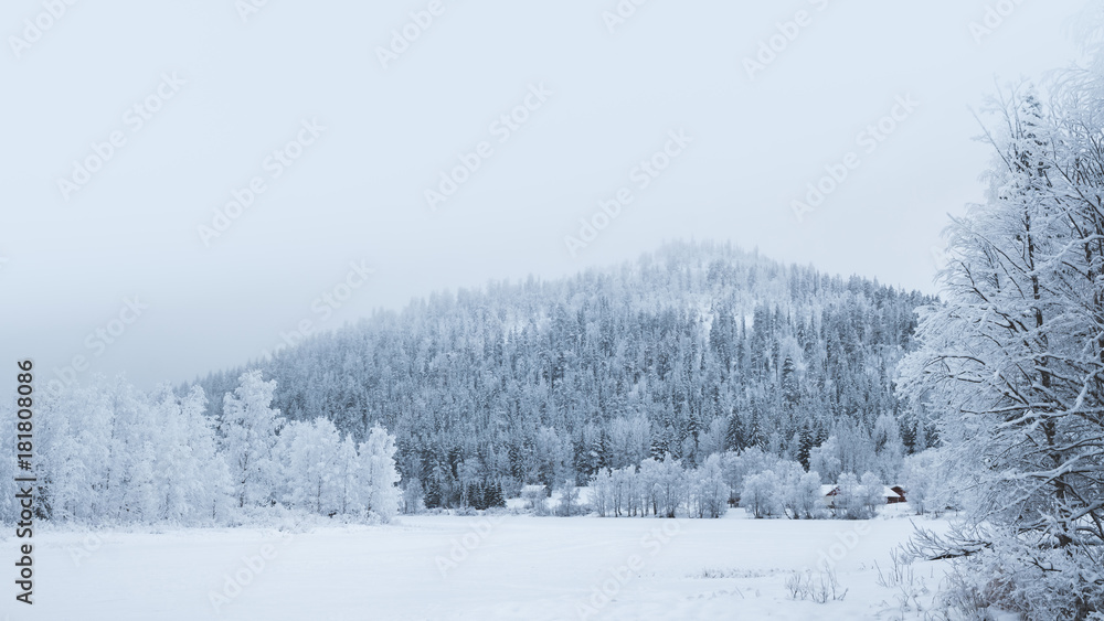 Obraz premium Foggy mountain