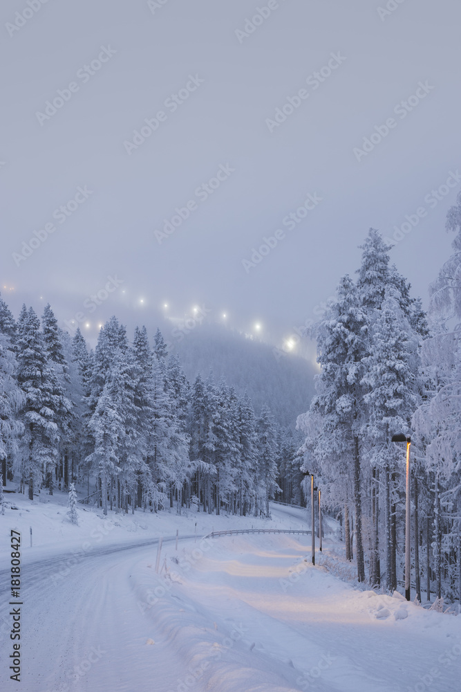 Obraz premium Snowy mountain road