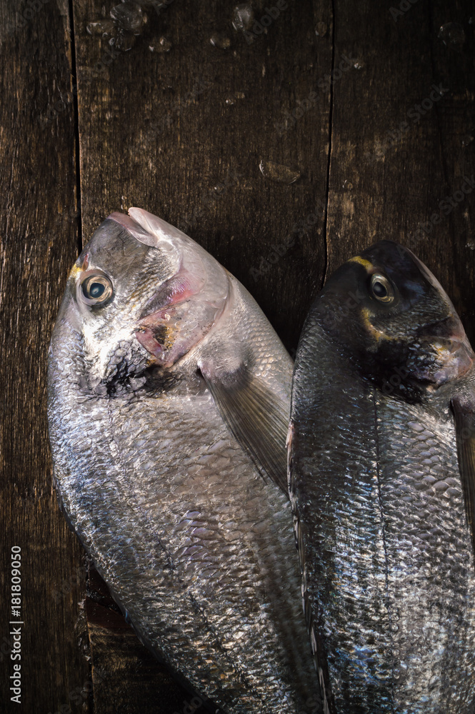 Fresh fish dorado on the on the wooden table. Top view with copy space Fresh fish dorado on the on the wooden table. Top view with copy space