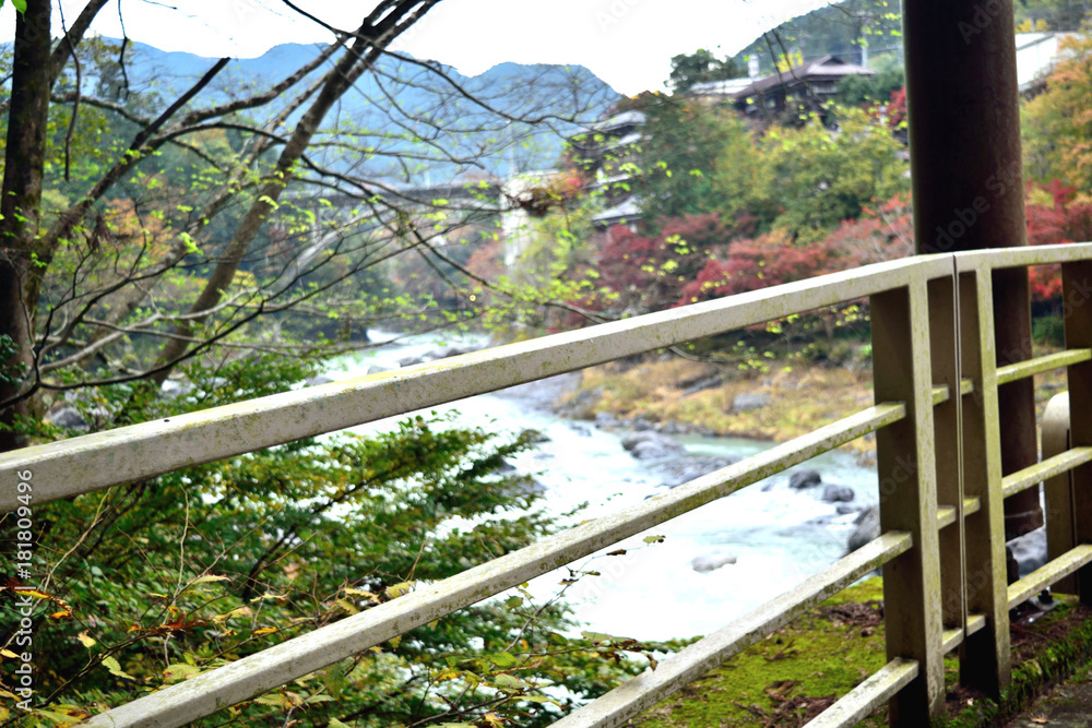 Fototapeta premium 秋の奥多摩 御岳渓谷 御岳小橋