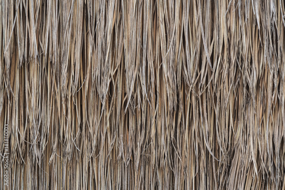 Thatched dry texture or background and make roofs or wall house. Thatched dry texture or background and make roofs or wall house.