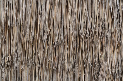 Thatched dry texture or background and make roofs or wall house.
