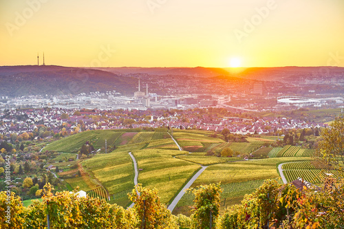 Vineyards in Stuttgart / colorful wine growing region in the south of Germany with view over Neckar Valley