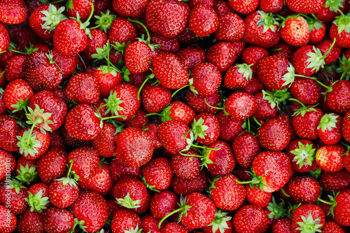 Strawberries - lots of strawberries