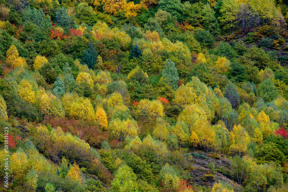 Natural autumn view of Ushguli Natural autumn view of Ushguli