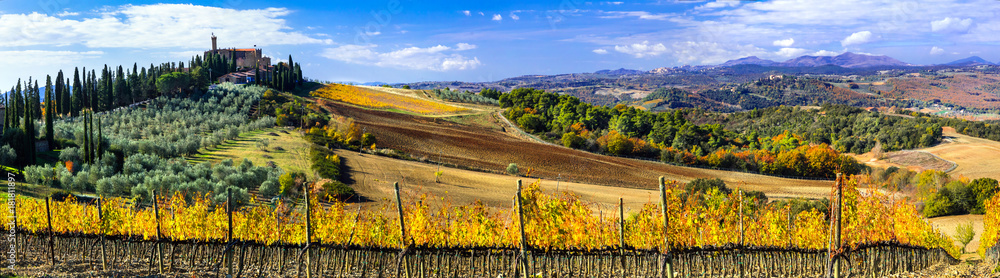 Traditional countryside and landscapes of beautiful Tuscany. Castles and vineyards. Italy