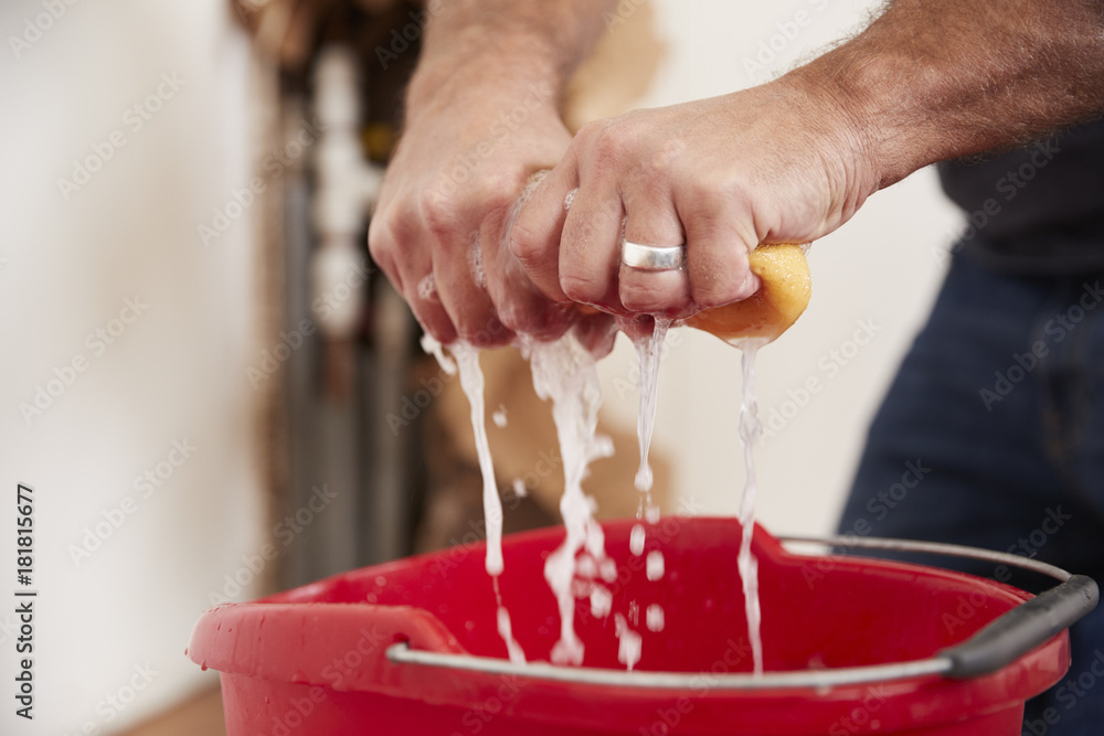 Φωτογραφία Man wringing water out of a sponge into a bucket, detail