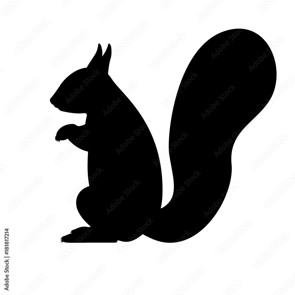 Fotografie Vector black silhouette of a squirrel