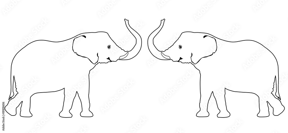 Elephant drawing vector eps 10