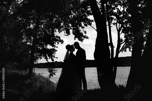 Silhouettes of a loving couple at sunset in nature