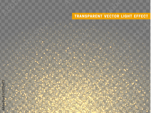 Gold glitter particles on transparent background. Golden glowing lights magic effects. Glow sparkles, vector illustration.
