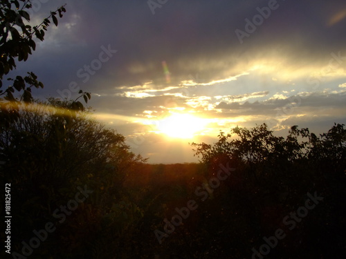 Reisen, Tiere, Landschaft