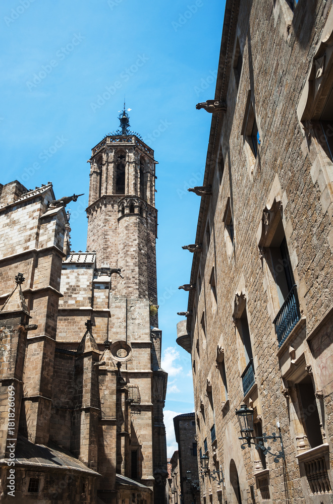 Barcelona Kathedrale und Häuser der Altstadt