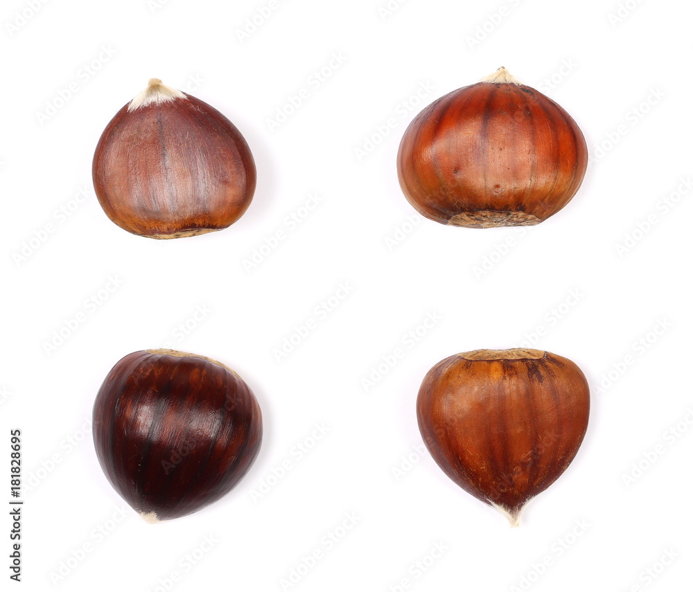 Pile edible chestnut isolated on white background, top view
Pile edible chestnut isolated on white background, top view