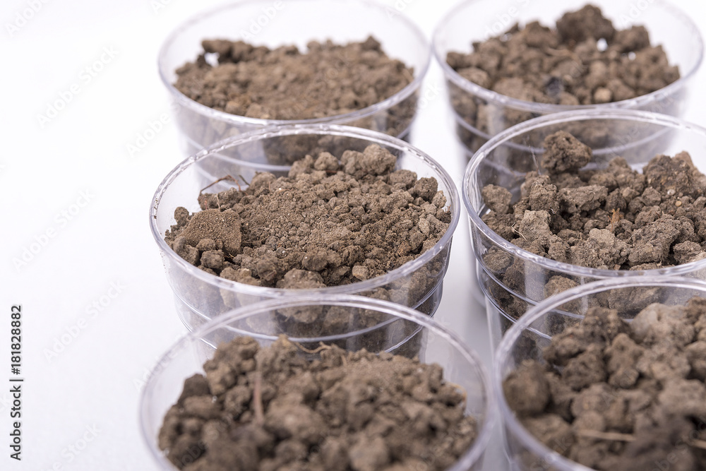 sample soil for testing in the laboratory sample soil for testing in the laboratory