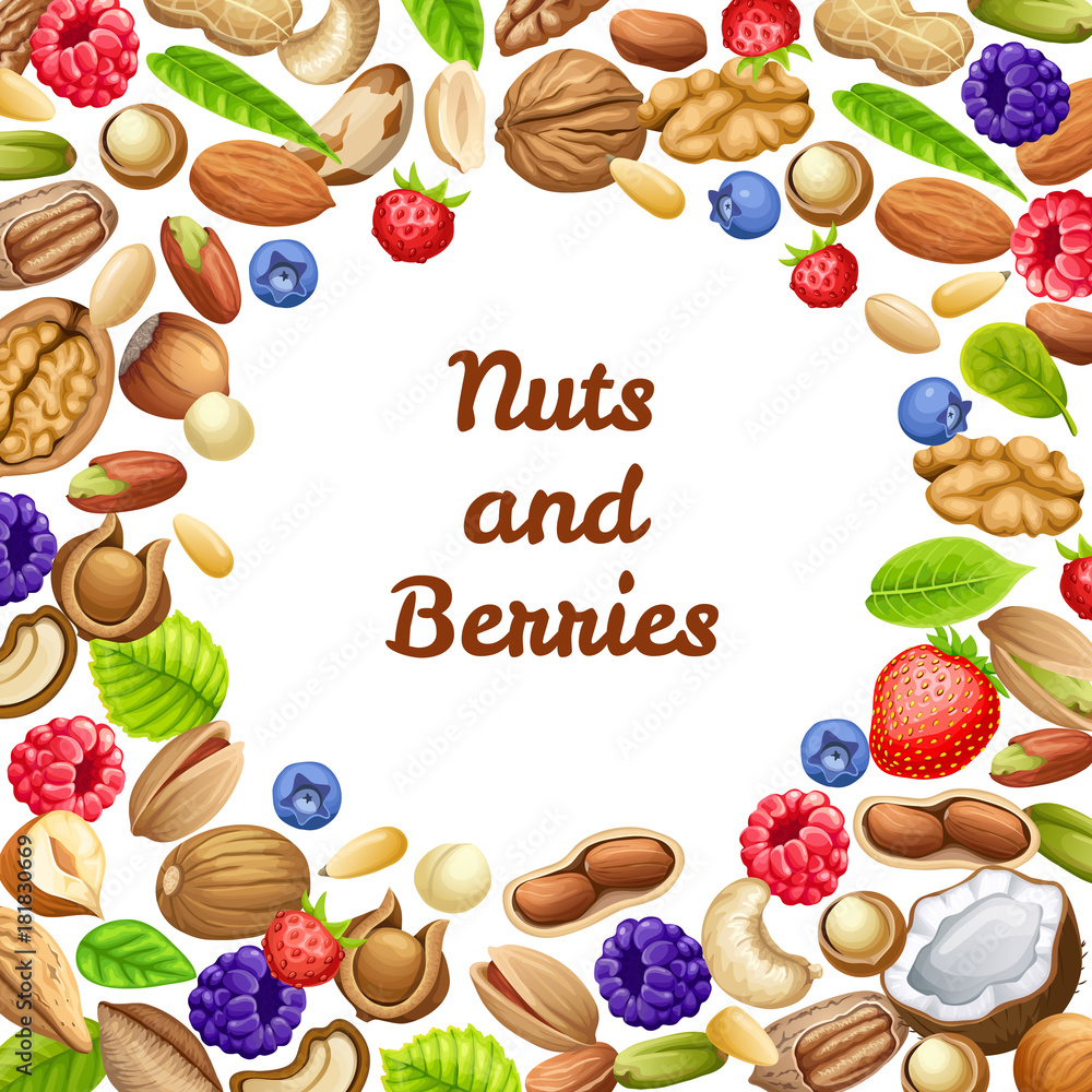Poster of nuts and forest berries. Grains of cashew and brazilian nut, coconut and cedar, hazelnut and cashew, almonds and walnut, nutmeg and pecan, peanut and macadamia, pistachio. Poster of nuts and forest berries. Grains of cashew and brazilian nut, coconut and cedar, hazelnut and cashew, almonds and walnut, nutmeg and pecan, peanut and macadamia, pistachio.