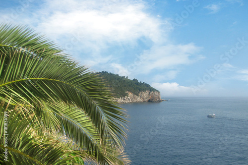 view of the island in the Adriatic Sea with palm trees in the foreground