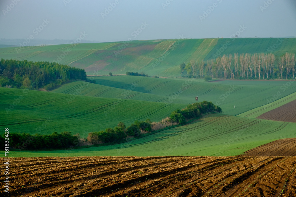 Landscape called Moravian Tuscany, Moravia, Czech Republic, near Kyjov