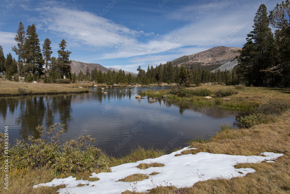 Fototapeta premium Yosemite