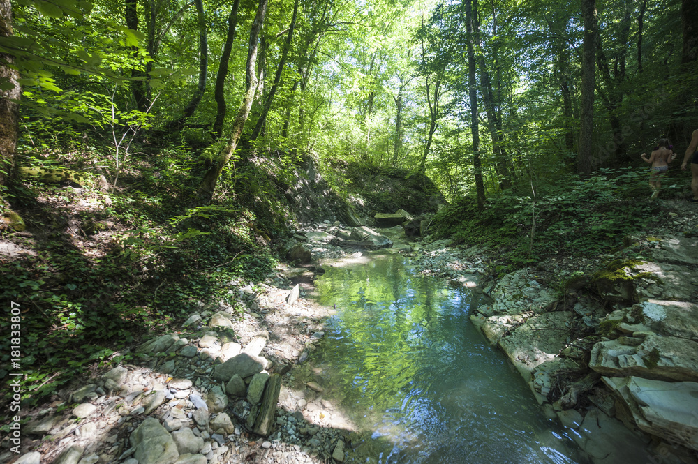 Obraz premium Mountain river Pshada