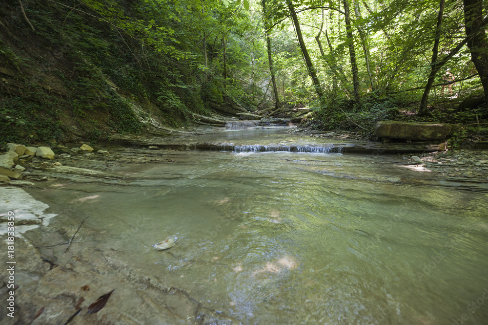 Obraz premium Mountain river Pshada