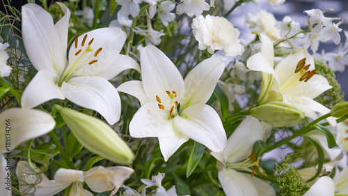 Fototapeta Naklejka Na Ścianę i Meble -  Gorgeous bouquet of white lilies and carnations flowers.