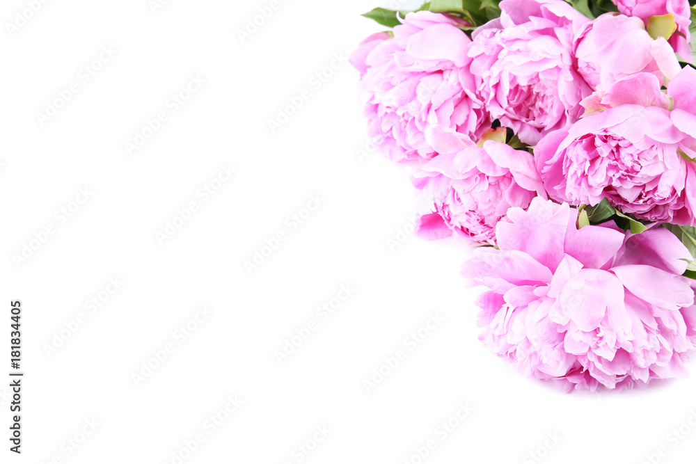 Bouquet of peony flowers isolated on white