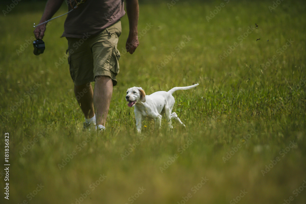 A man and a puppy in a field A man and a puppy in a field