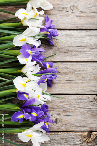 Fototapeta Naklejka Na Ścianę i Meble -  Bouquet of iris flowers on grey wooden table