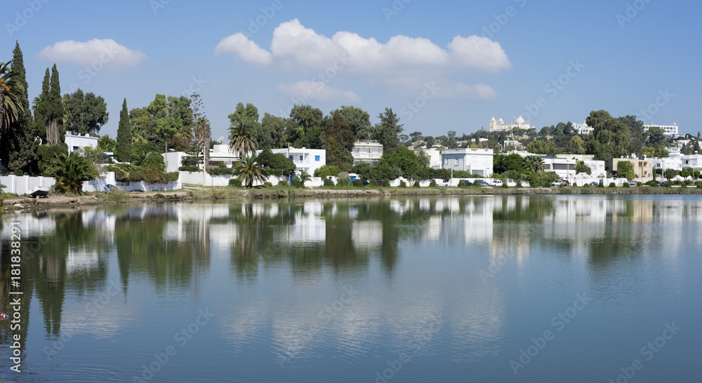 Tunisia. Carthage - Byrsa hill seen from lagoon of ancient Punic ports.