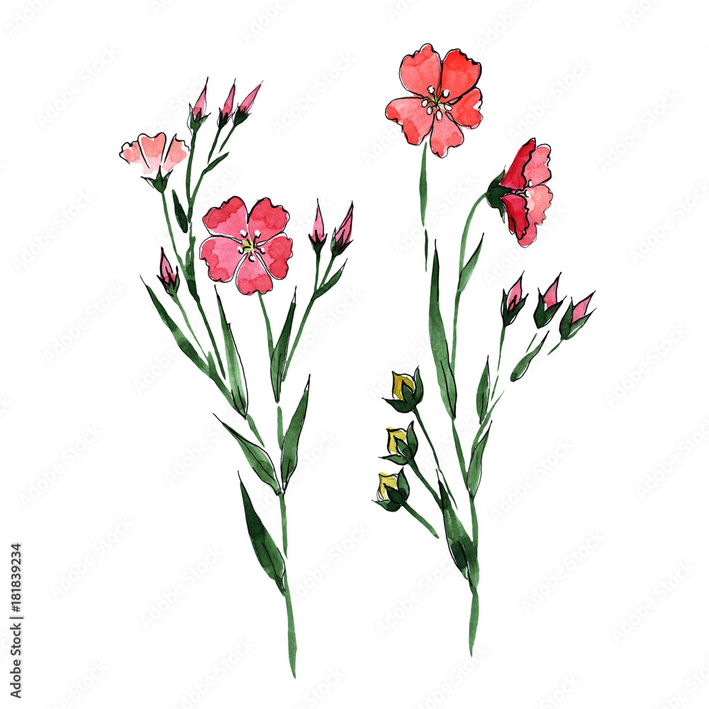 Wildflower flax flower in a watercolor style isolated. Full name of the plant: flax. Aquarelle wild flower for background, texture, wrapper pattern, frame or border.