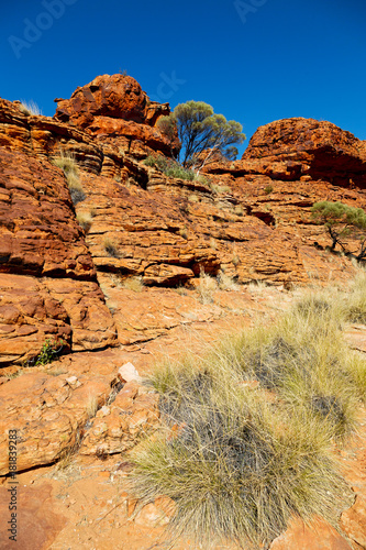  the kings canyon nature wild and outback