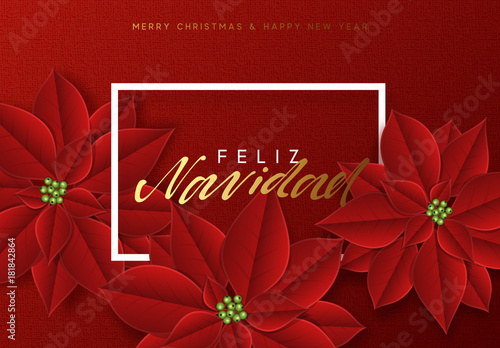Merry Christmas, background decorated with beautiful red buds poinsettia flowers. Spanish text Feliz Navidad
