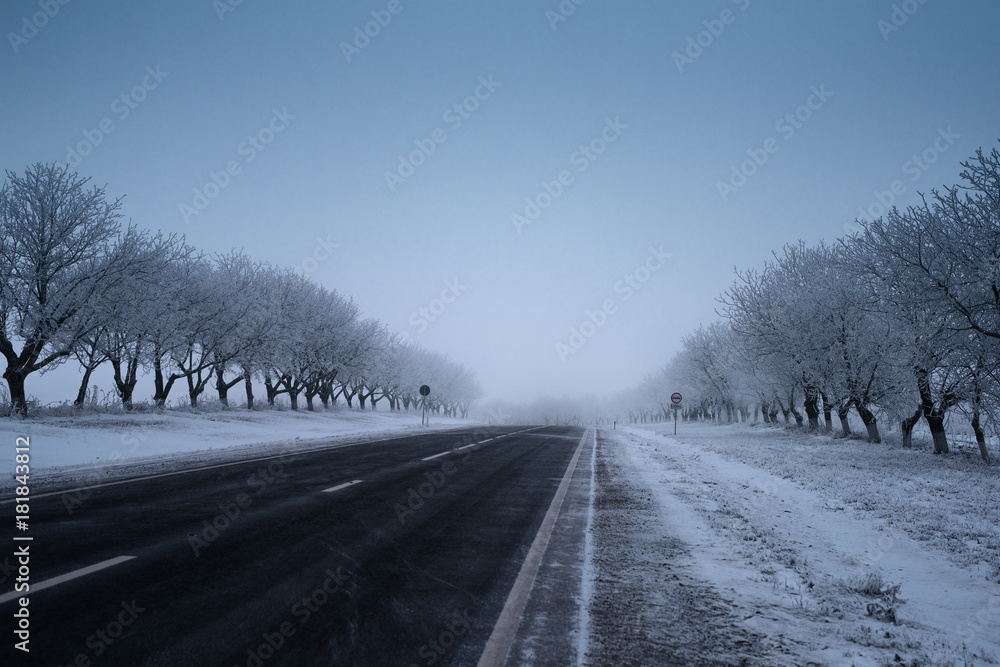 Empty road in the winter, ground and trees covered snow.