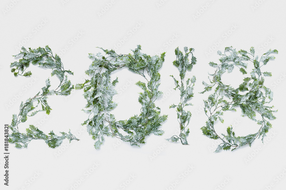 2018 made of green christmas garland plants and decoration, Flat lay 2018 made of green christmas garland plants and decoration, Flat lay