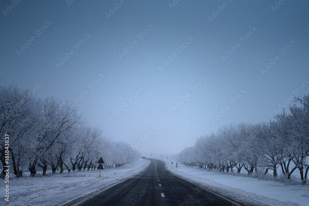Empty road in the winter, ground and trees covered snow. Empty road in the winter, ground and trees covered snow.