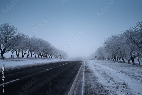Empty road in the winter, ground and trees covered snow. © Lalandrew