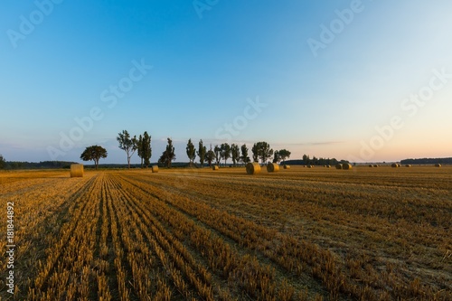 Summer landscape with stubble field