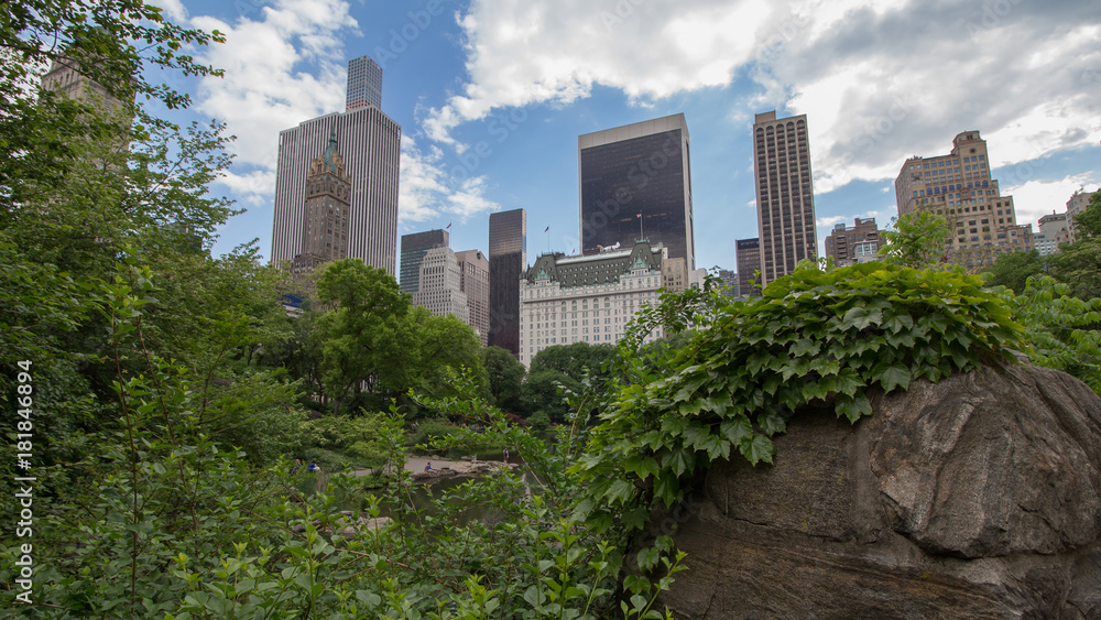Fototapeta premium New York